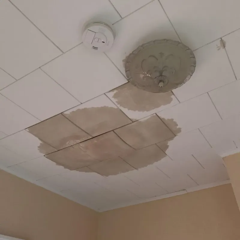 Ceiling Water Damage Repair in West Bishop, CA