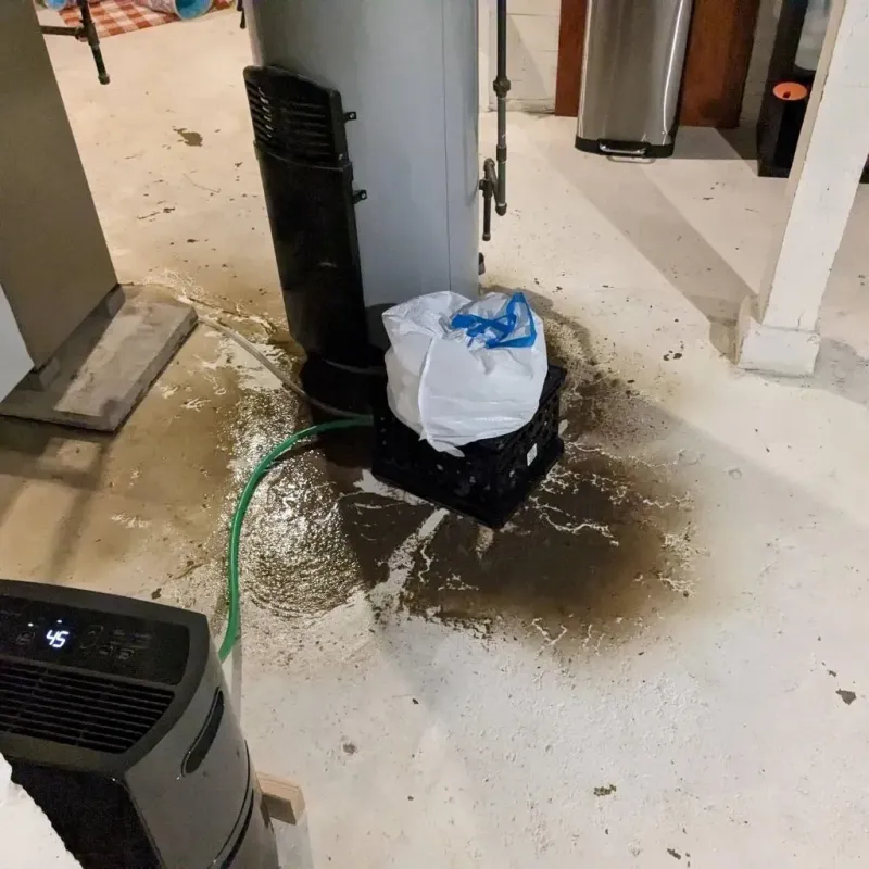 Sewage Backup Cleanup Service in West Bishop, CA